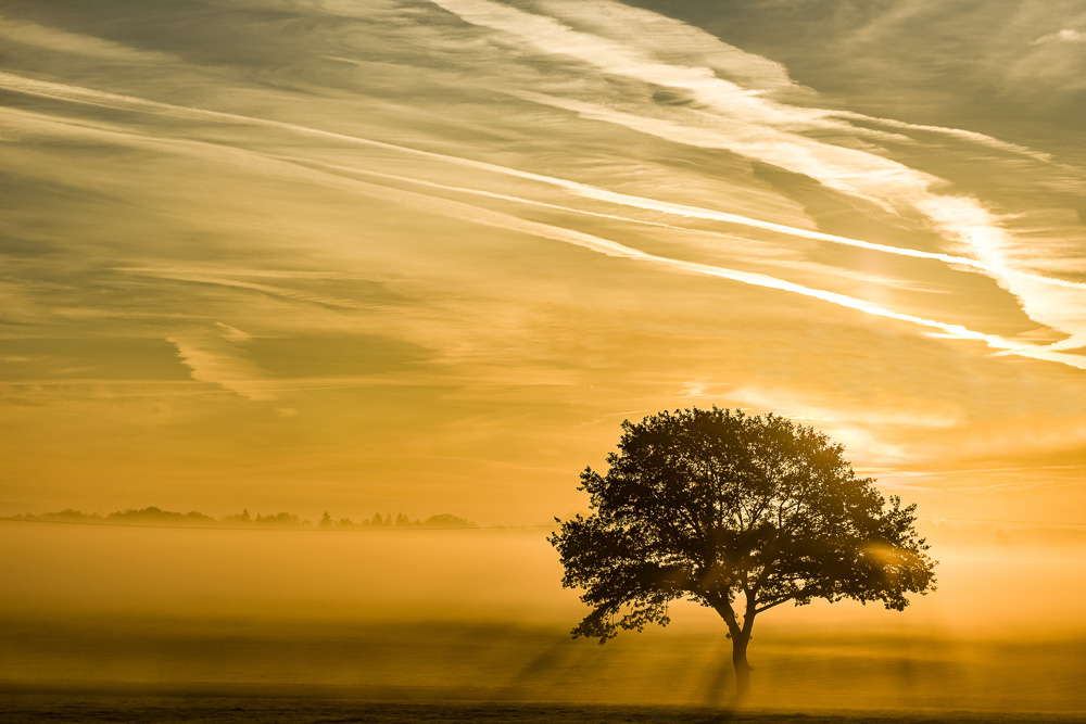 Platz 2 Conny Kleiner